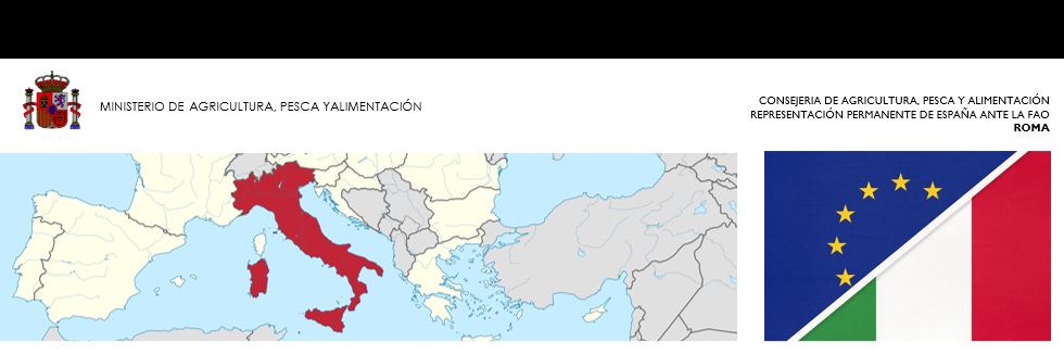 Imagen de Prácticas voluntarias no remuneradas a realizar en la Embajada de España en Roma